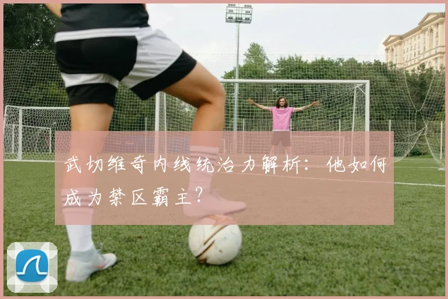 武切维奇内线统治力解析:他如何成为禁区霸主?