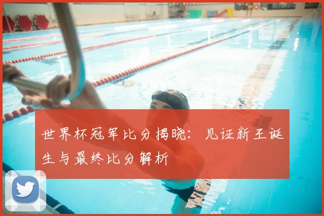 世界杯冠军比分揭晓:见证新王诞生与最终比分解析
