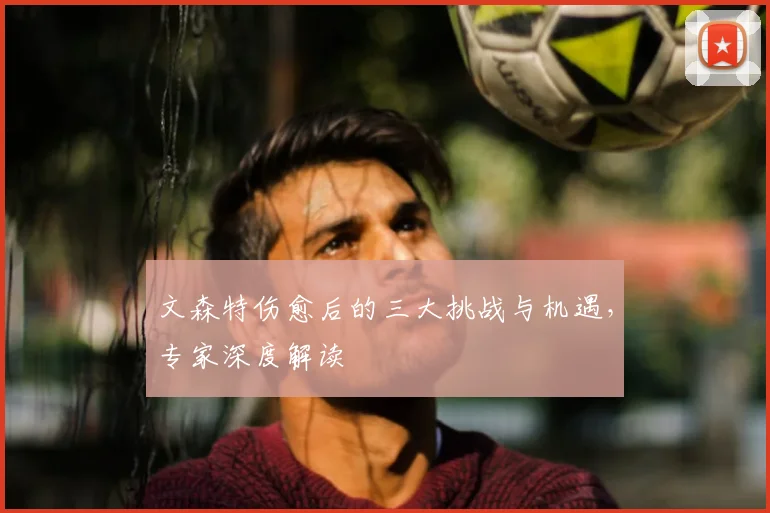 文森特伤愈后的三大挑战与机遇,专家深度解读