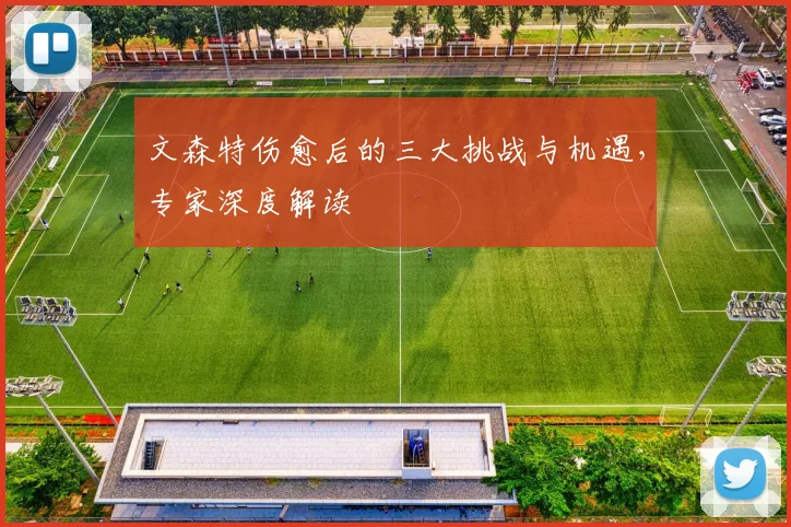 文森特伤愈后的三大挑战与机遇,专家深度解读