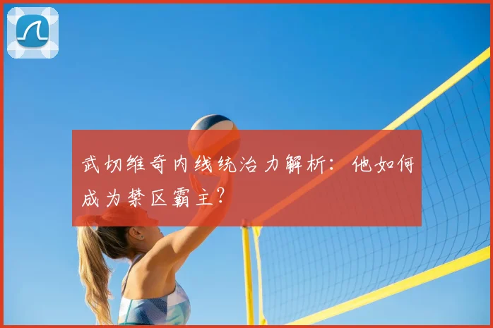武切维奇内线统治力解析:他如何成为禁区霸主?